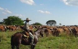 Buenos Aires Estancia campestre